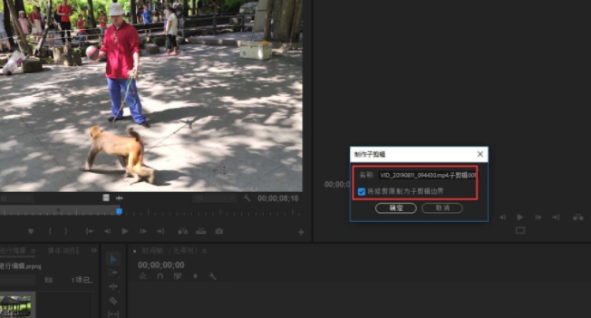 Premiere如何创建编辑子剪辑？Pr创建编辑子视频图文教程详解