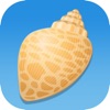 Shell scastle软件苹果版