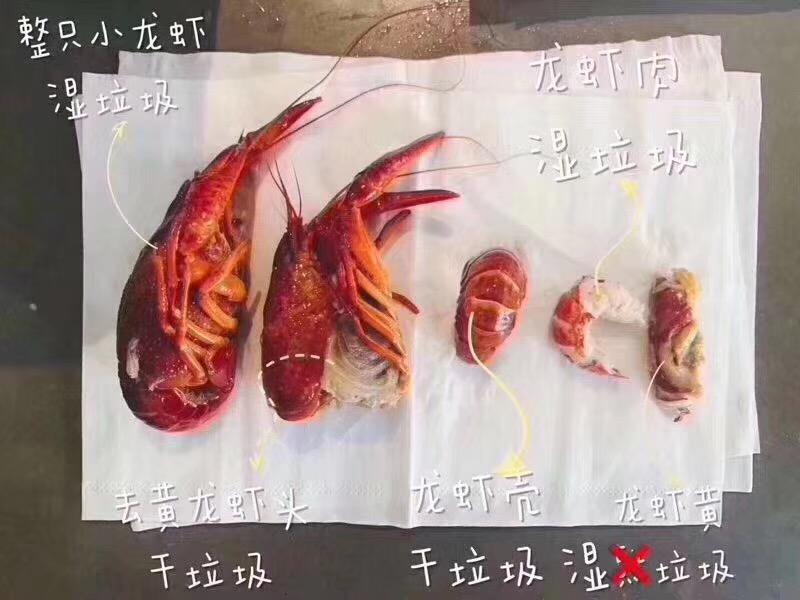小龙虾壳和大龙虾壳怎么分类？