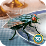 昆虫飞行模拟器3d