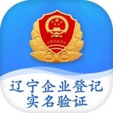 辽宁工商全程电子化平台APP