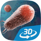 细菌互动教育3D