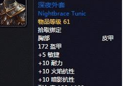魔兽世界怀旧服盗贼满级胸部装备选择介绍