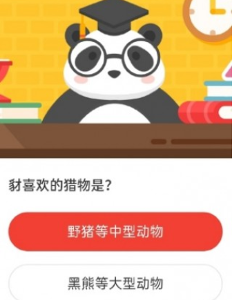 2020森林驿站4月6日每日一题答案