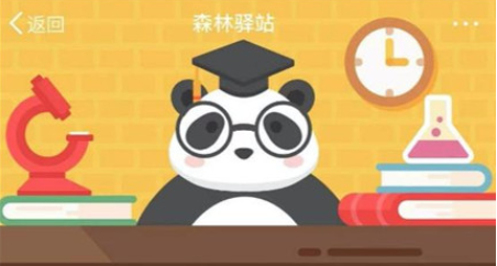 2020森林驿站4月7日每日一题答案
