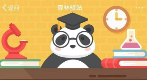 2020森林驿站4月8日每日一题答案