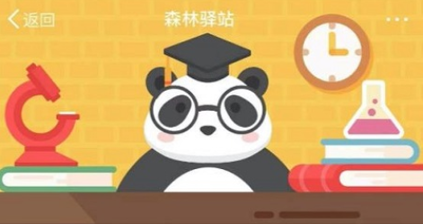 2020森林驿站4月15日每日一题答案