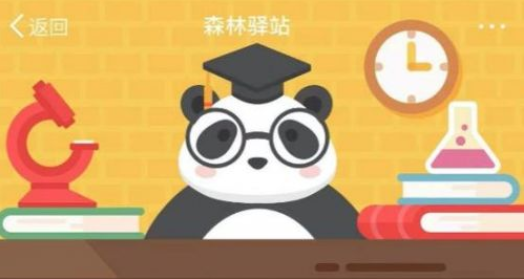 2020森林驿站4月16日每日一题答案