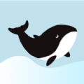 鲸心社交app
