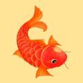 红鱼快讯app