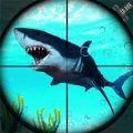 鲨鱼猎手3D游戏