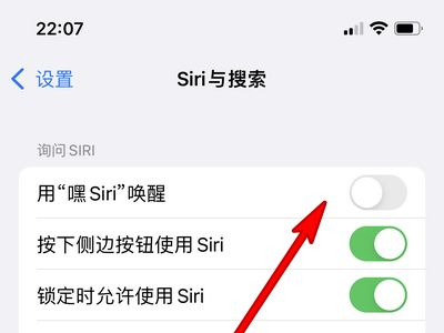 苹果13怎么唤醒Siri?苹果13唤醒Siri教程截图