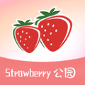 草莓公园交友