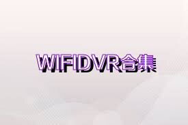 WIFIDVR合集