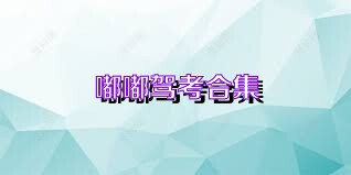 嘟嘟驾考合集