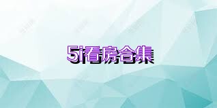 5i看房合集